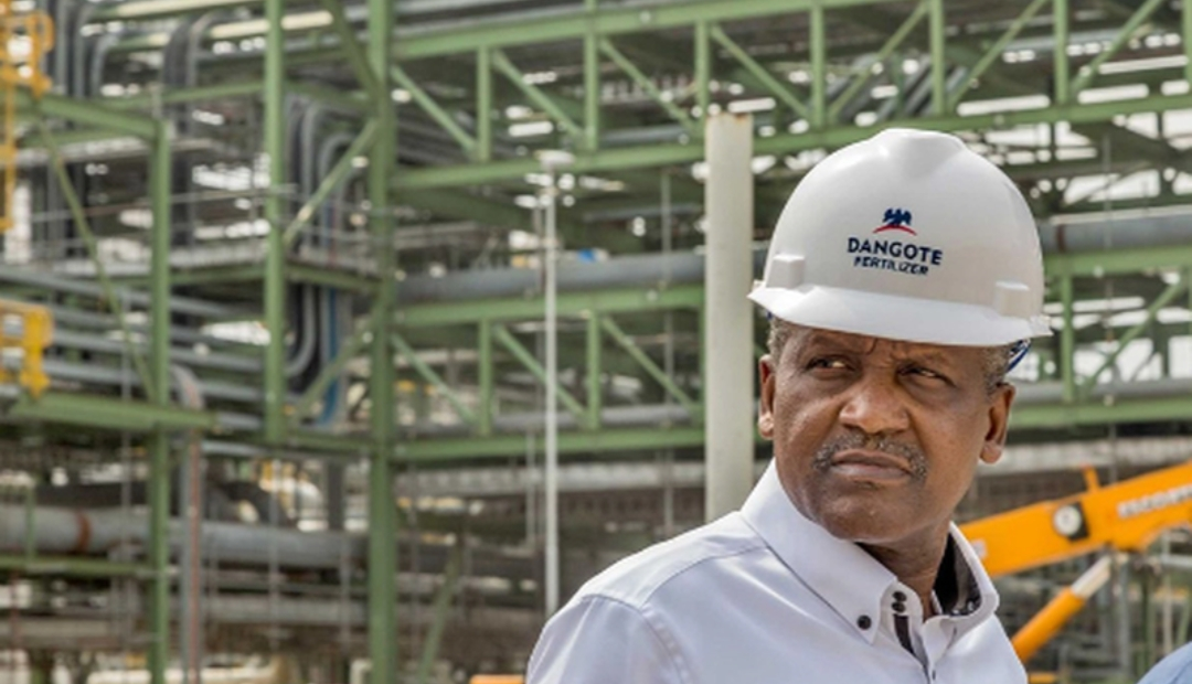 Screenshot_20250917-053511