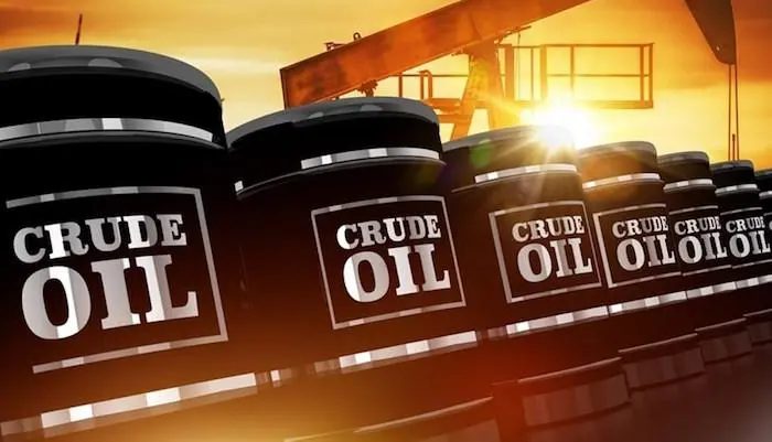 Oil-