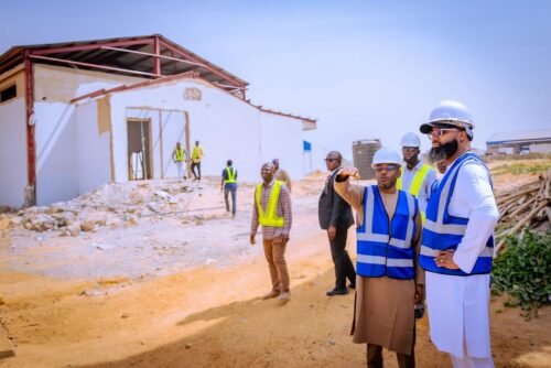 IMG-20260211-WA0009-500x334