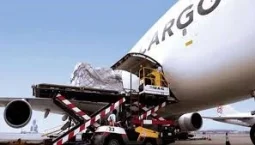 Air-cargo_1782784541-255x145