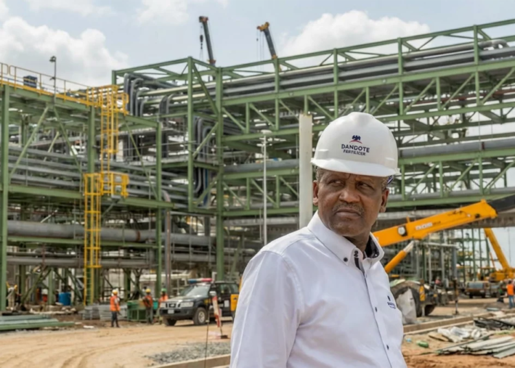 Dangote-Refinery-5-750x536